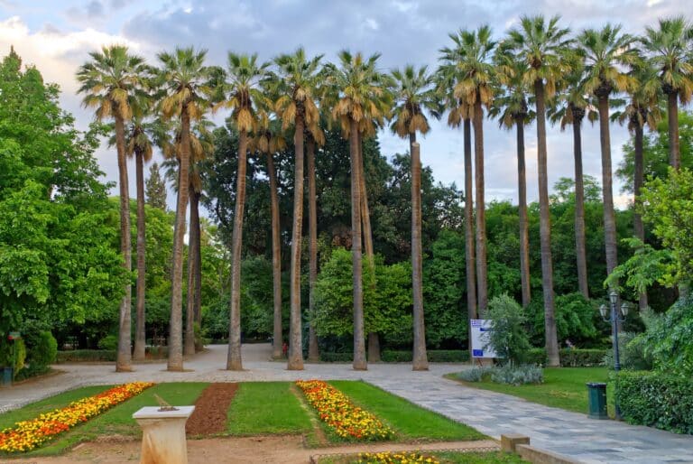 Athènes, le jardin national. L'allée des palmiers