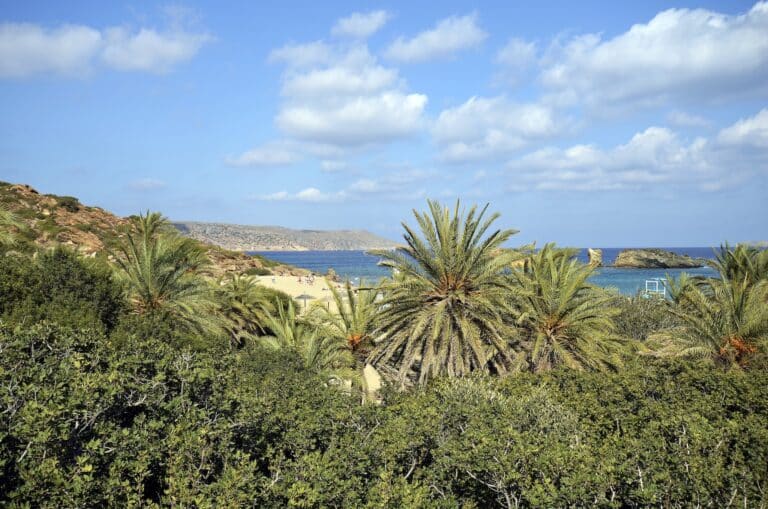 La plage de Vai, de sable fin, bordée d'une forêt de palmiers (Phoenix Theophrastii) située à 28 km à l'est de Sitia. Cette palmeraie est protégée par le programme Natura 2000 et fait partie du Géoparc mondial UNESCO de Sitia