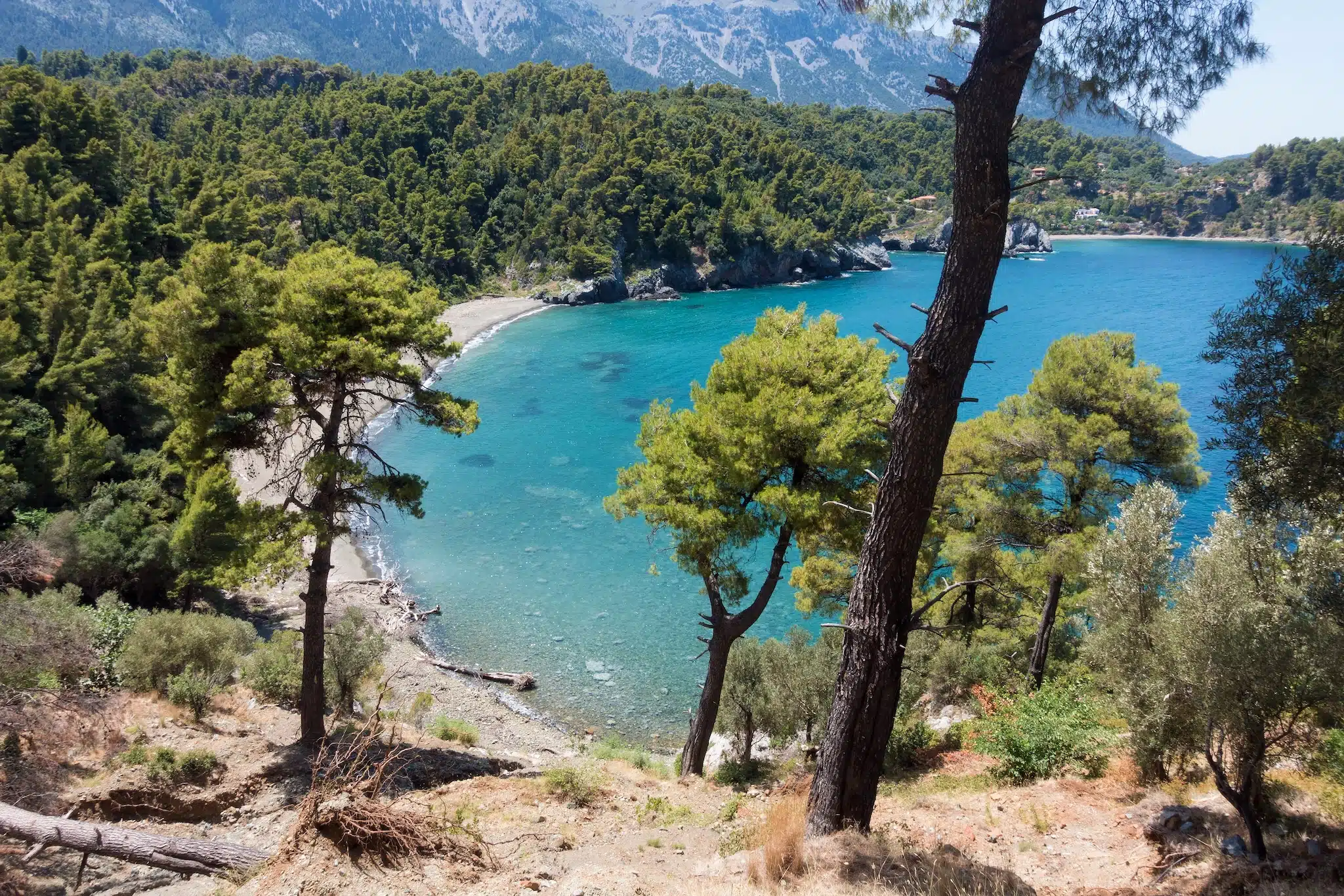 Eubee sur sur une plage et la forêt de pins dans le nord de l'île