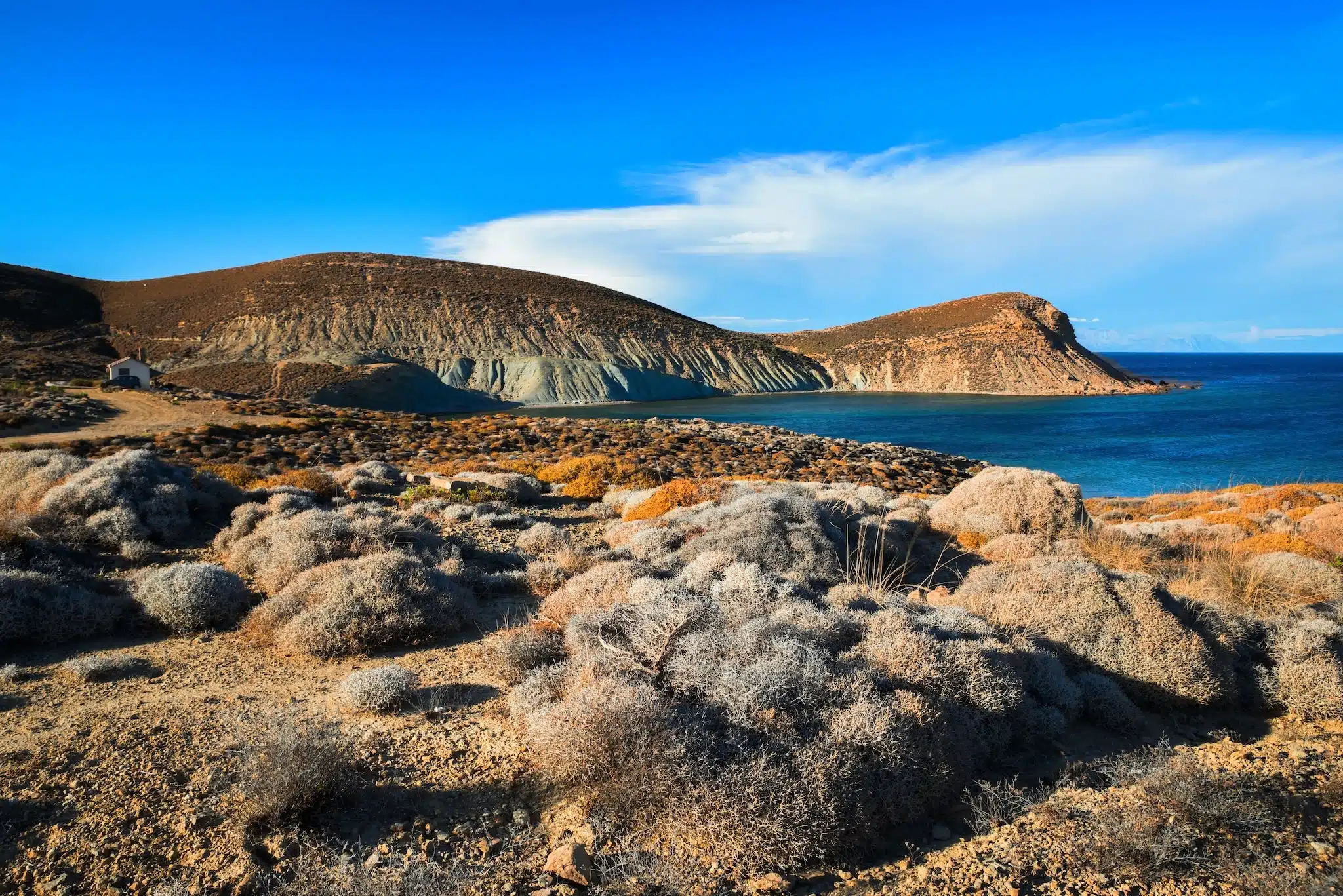Lemnos - Paysage du cap Faraklo : mer, rochers et buissons de thym par une journée ensoleillée