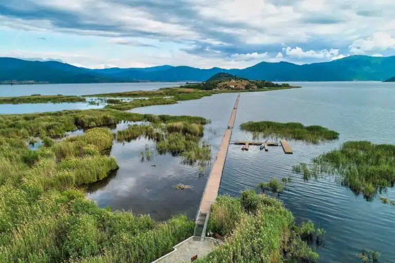Les lacs Prespes se situent tout au Nord de la Grèce, en Macédoine grecque, à cheval sur les frontières de la Grèce avec l'Albanie et la Macédoine du Nord