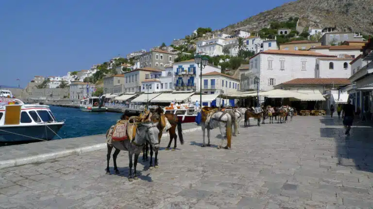 Hydra - Les anes attendent au port