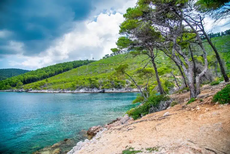 Skopelos, la cote découpé de l'île et les forets de pins
