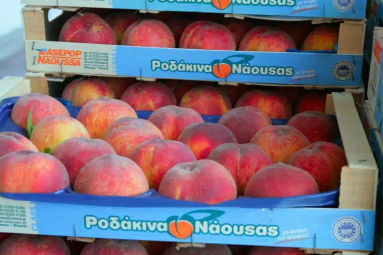 Les pêches de Naoussa, situées dans la région de l'Imathie en Macédoine centrale, sont réputées pour leur saveur intense, leur arôme riche et leur fraîcheur, étant cueillies et emballées directement dans les vergers